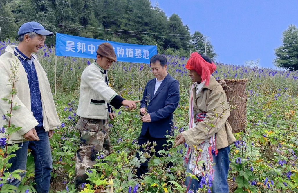 昊邦中药材种植基地（丽江）.png